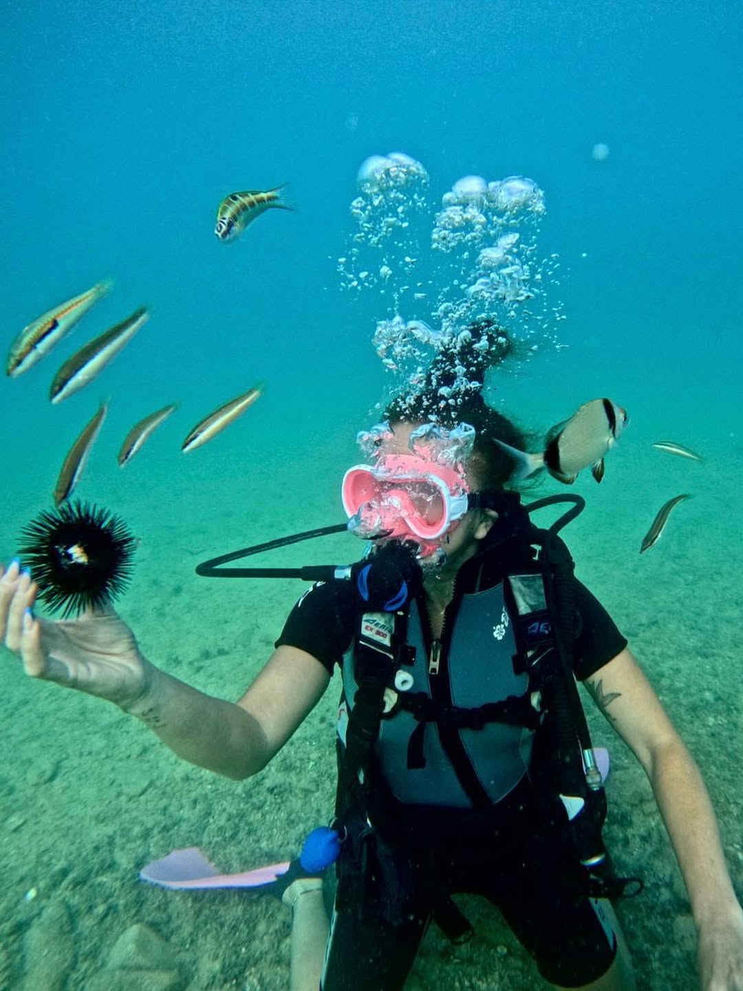 Yıllar Önce Ilk Kampa Tek Başıma Katılmıştım. Acaba Eğlenir Miyim Diye Gittiğim Kamptan Sonra On (1)