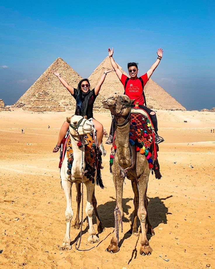 1Bc29065Db88Ac67F8C56Abc0E4D1B4D