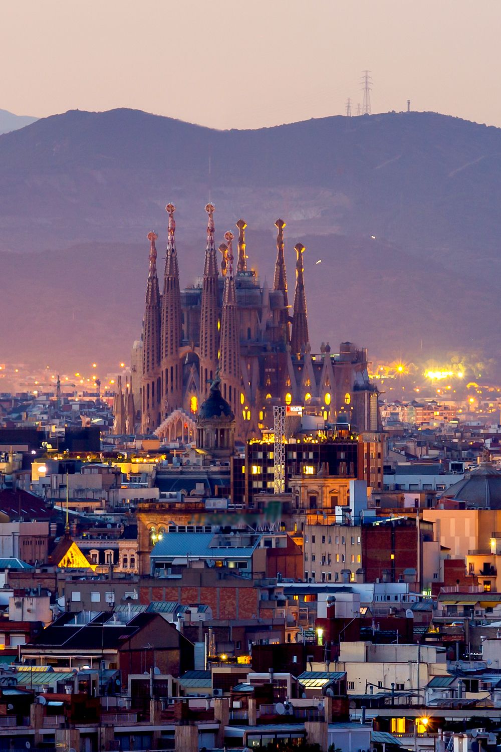 20A2D962F6A92A3C57Da774Eff271A94