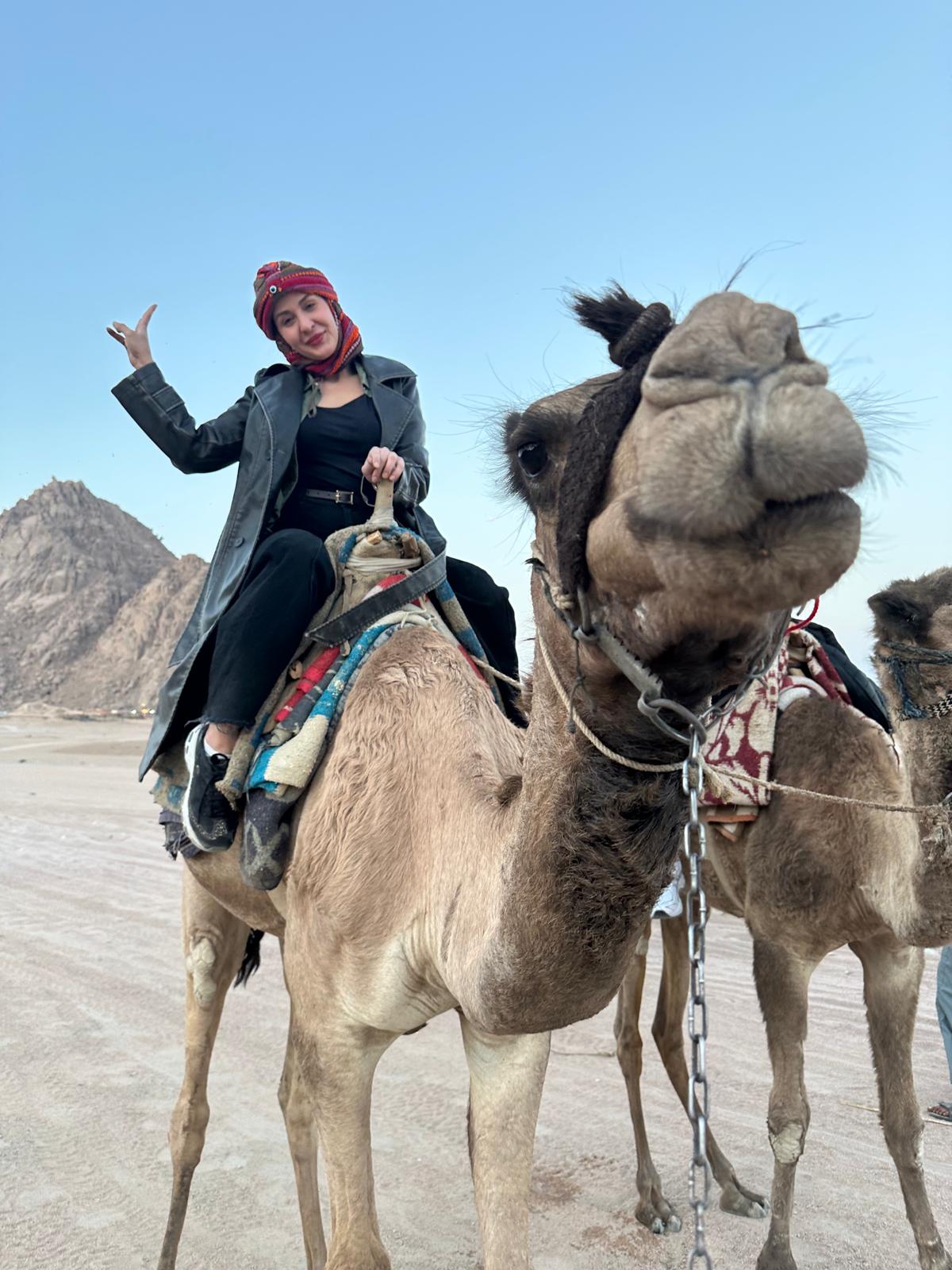 I M G 20260122 W A0044