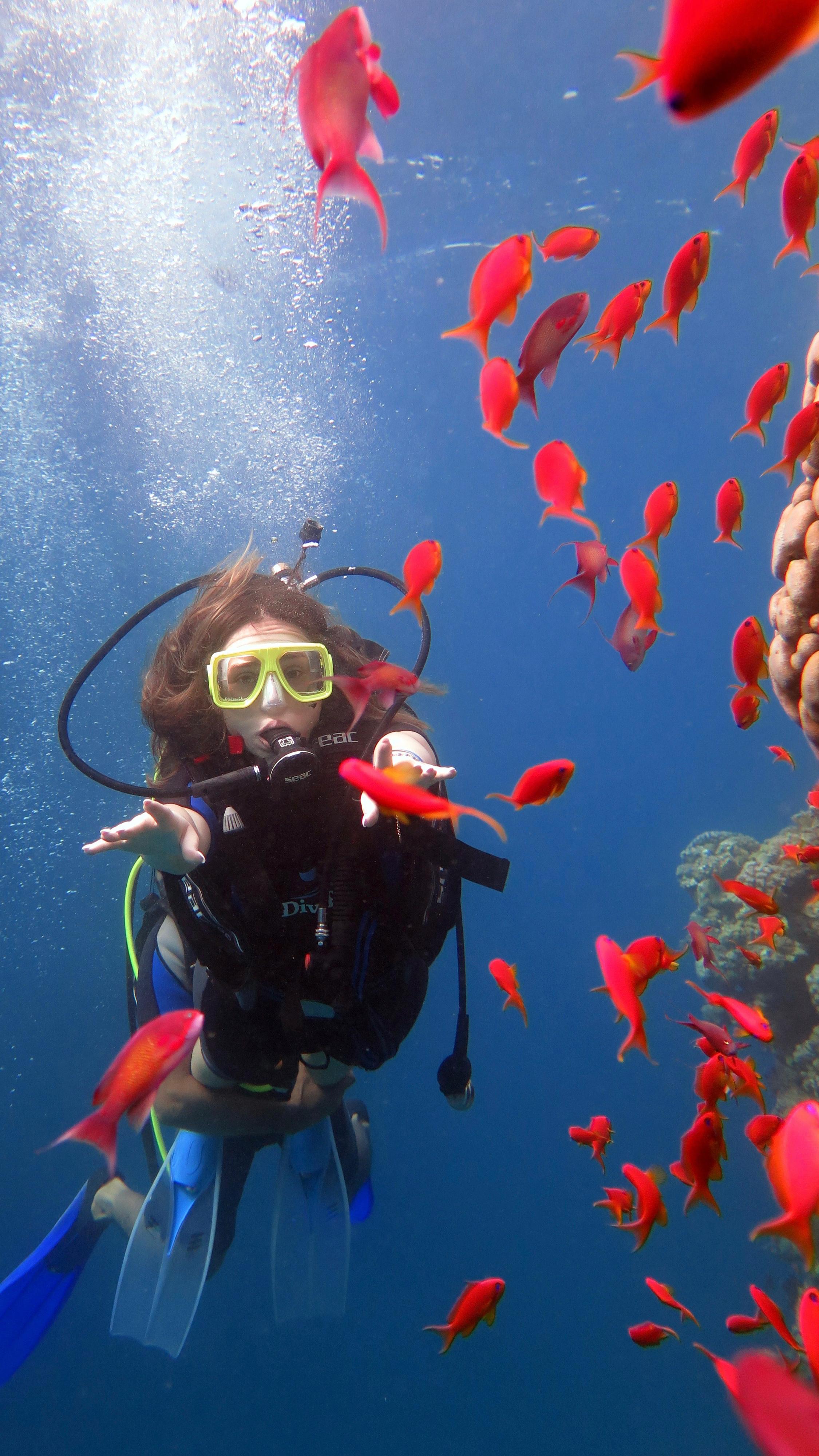 I M G 20260122 W A0056