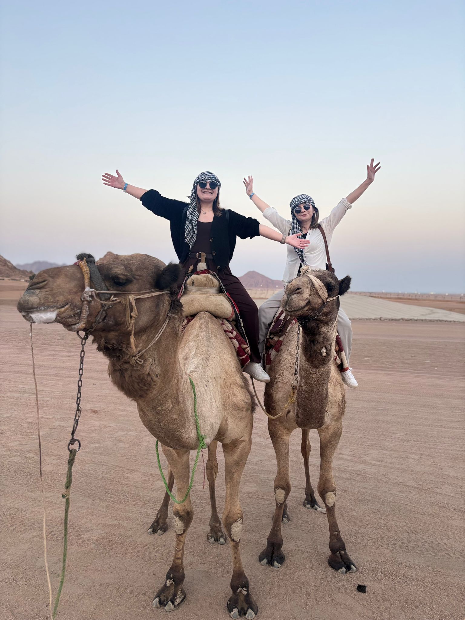 I M G 20260123 W A0014