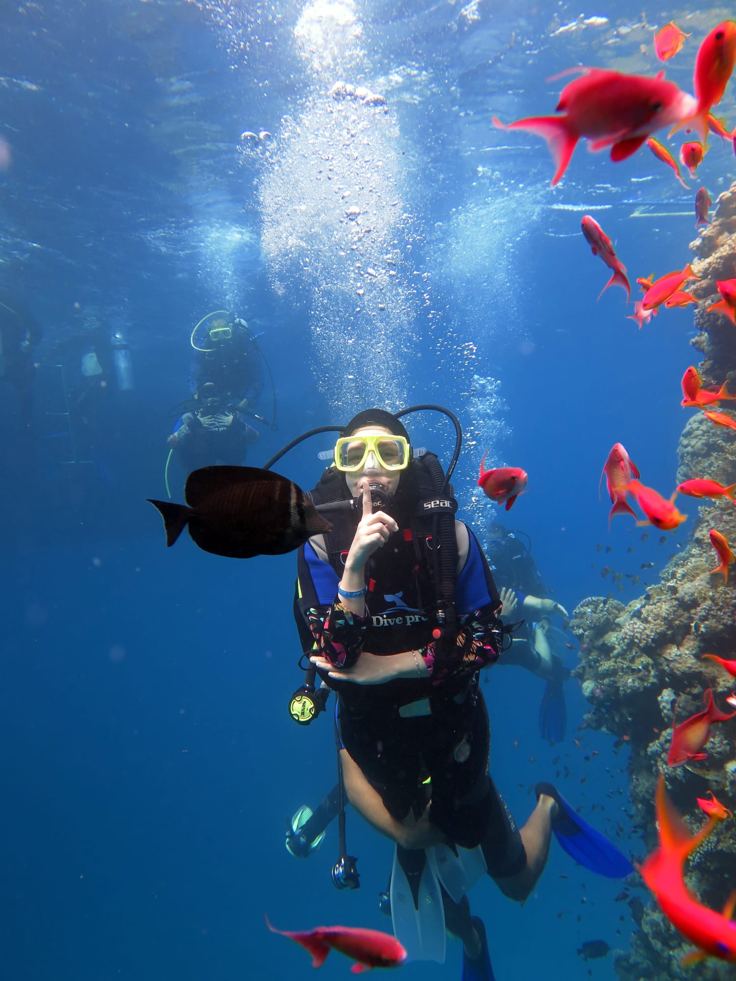 I M G 20260123 W A0015