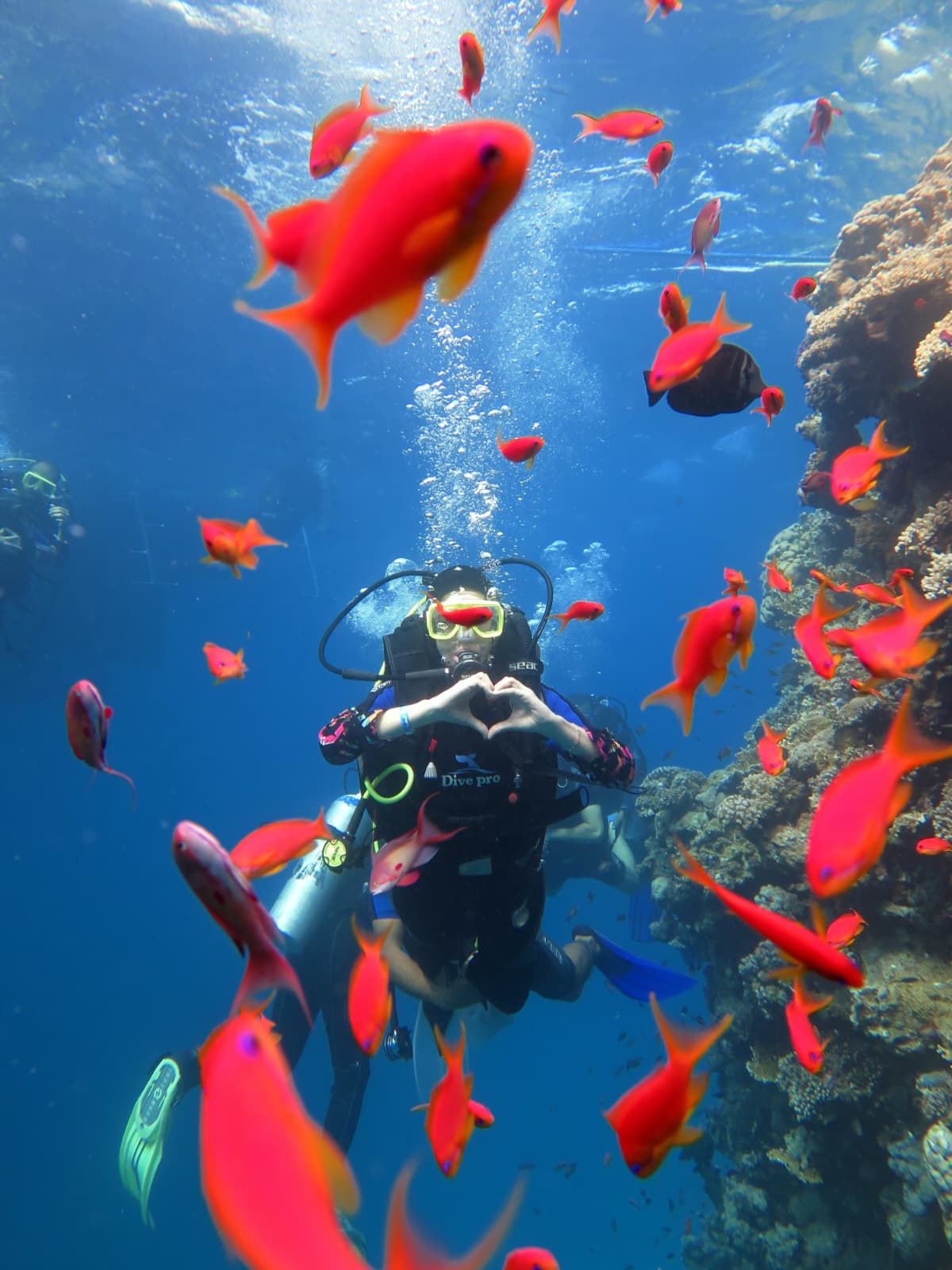 I M G 20260123 W A0018