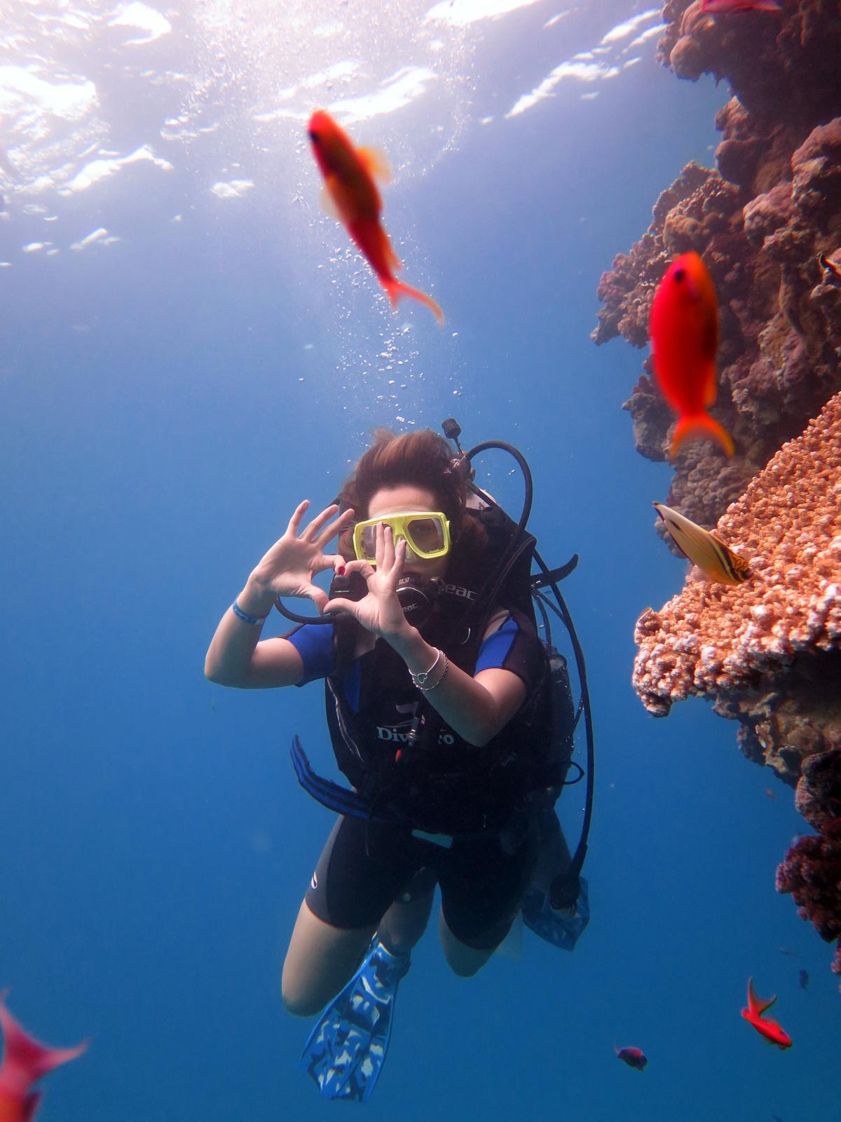 I M G 20260123 W A0050