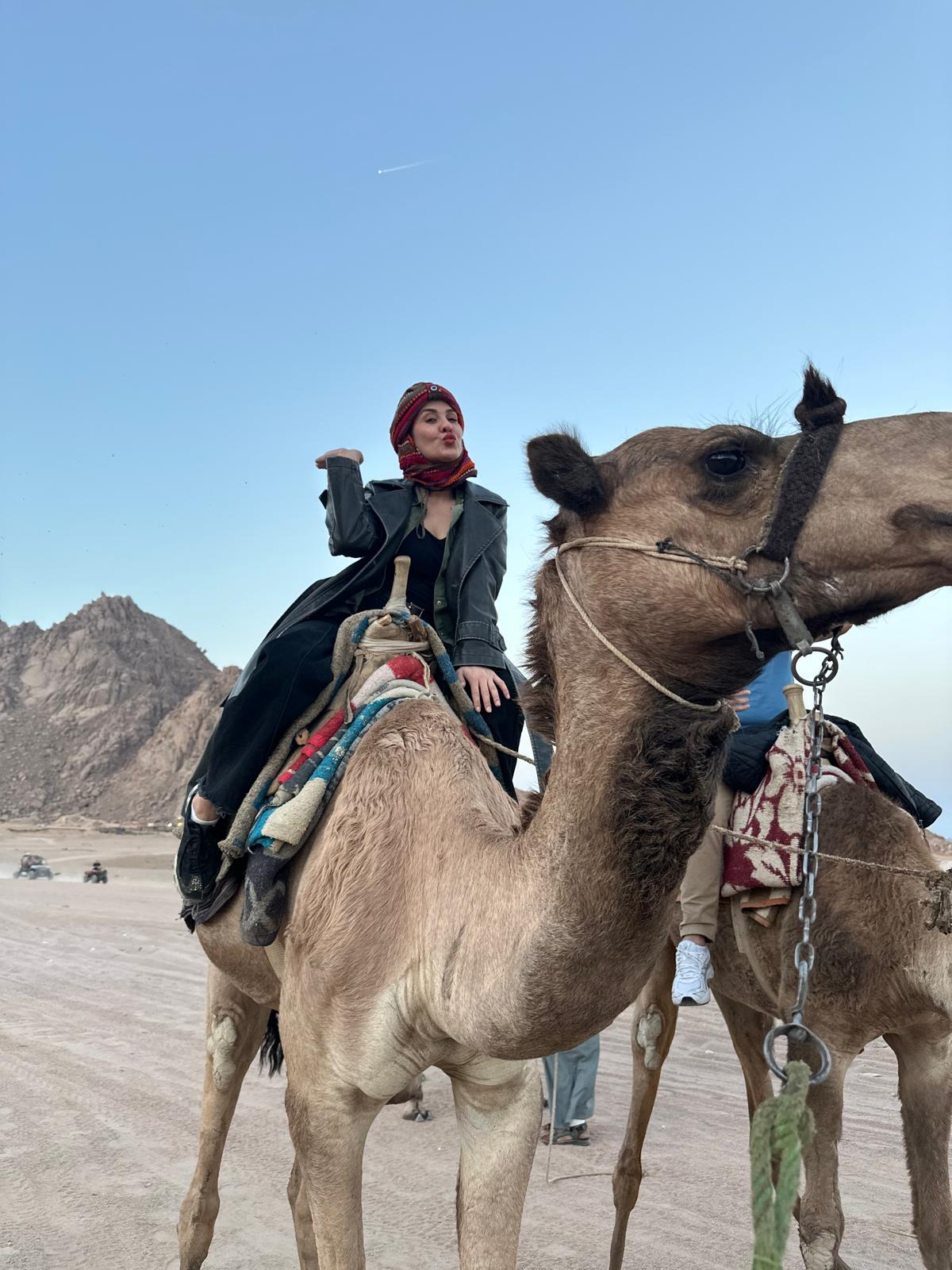 I M G 20260123 W A0052