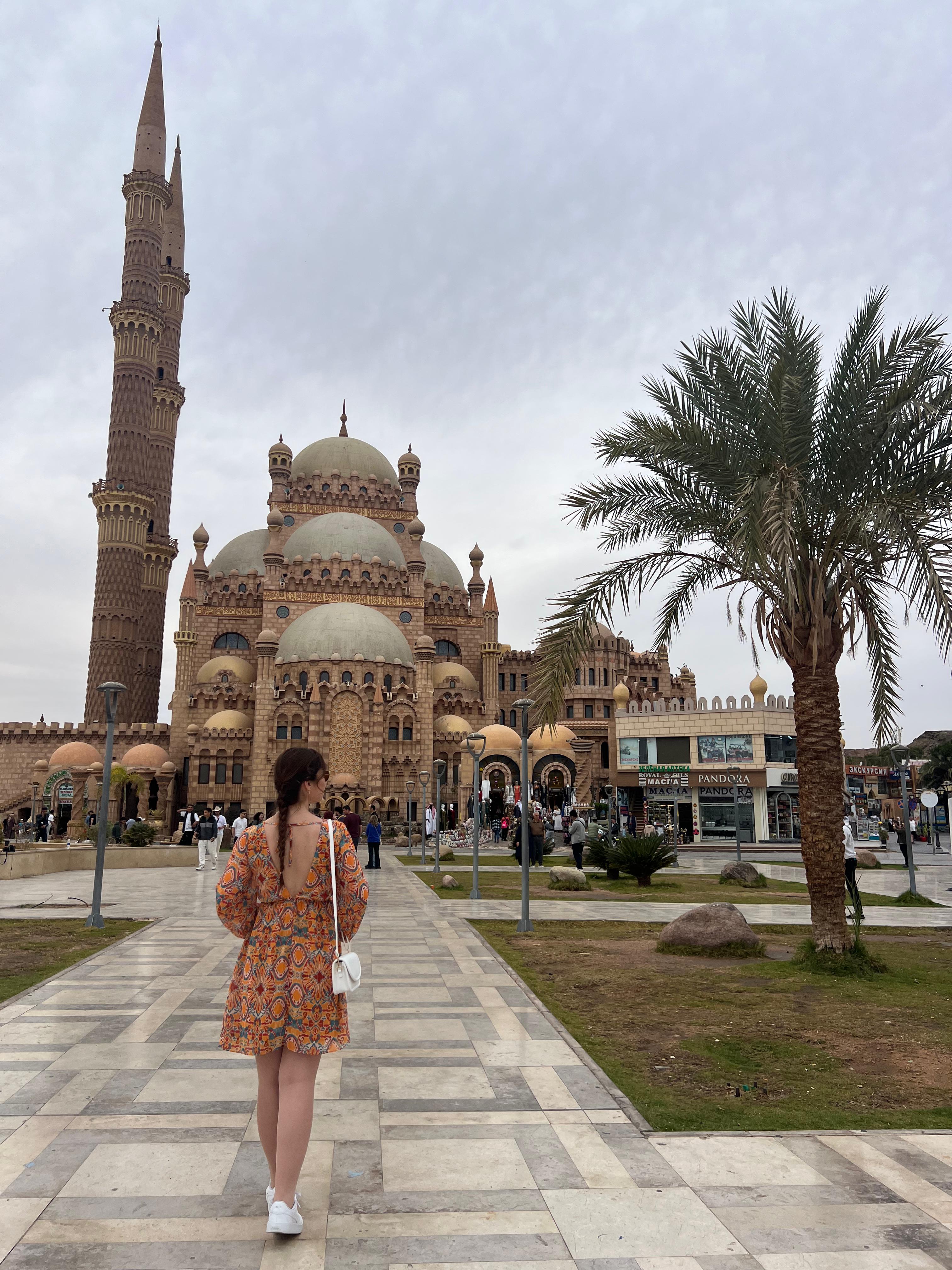 I M G 20260123 W A0079