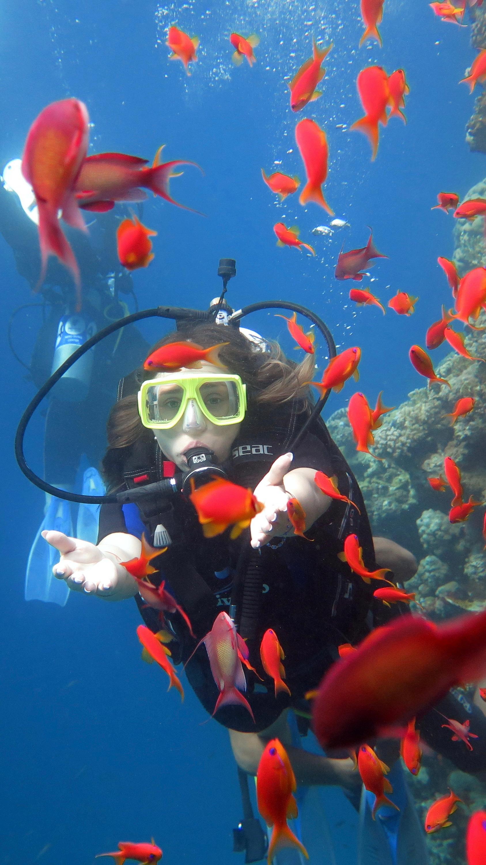 I M G 20260123 W A0081