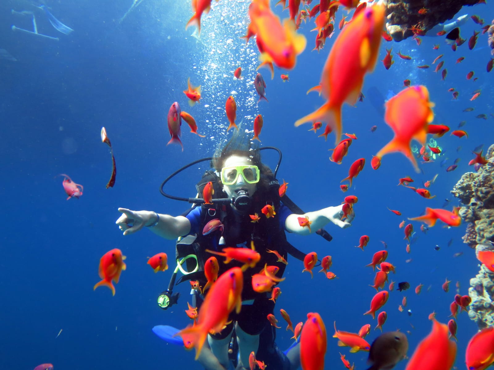 I M G 20260123 W A0093-1