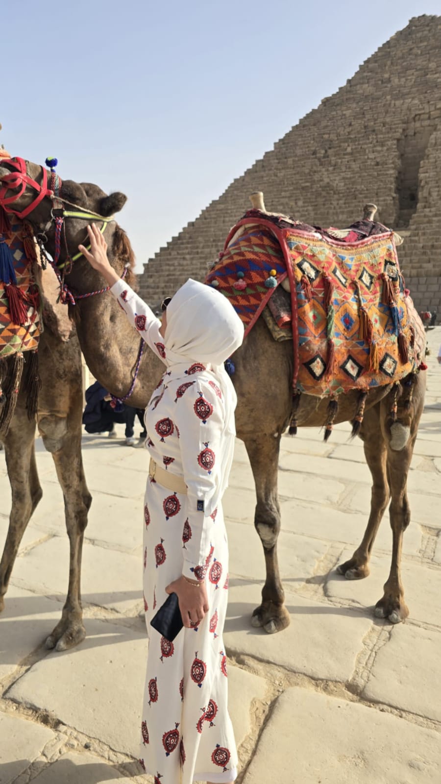 I M G 20260123 W A0130-1