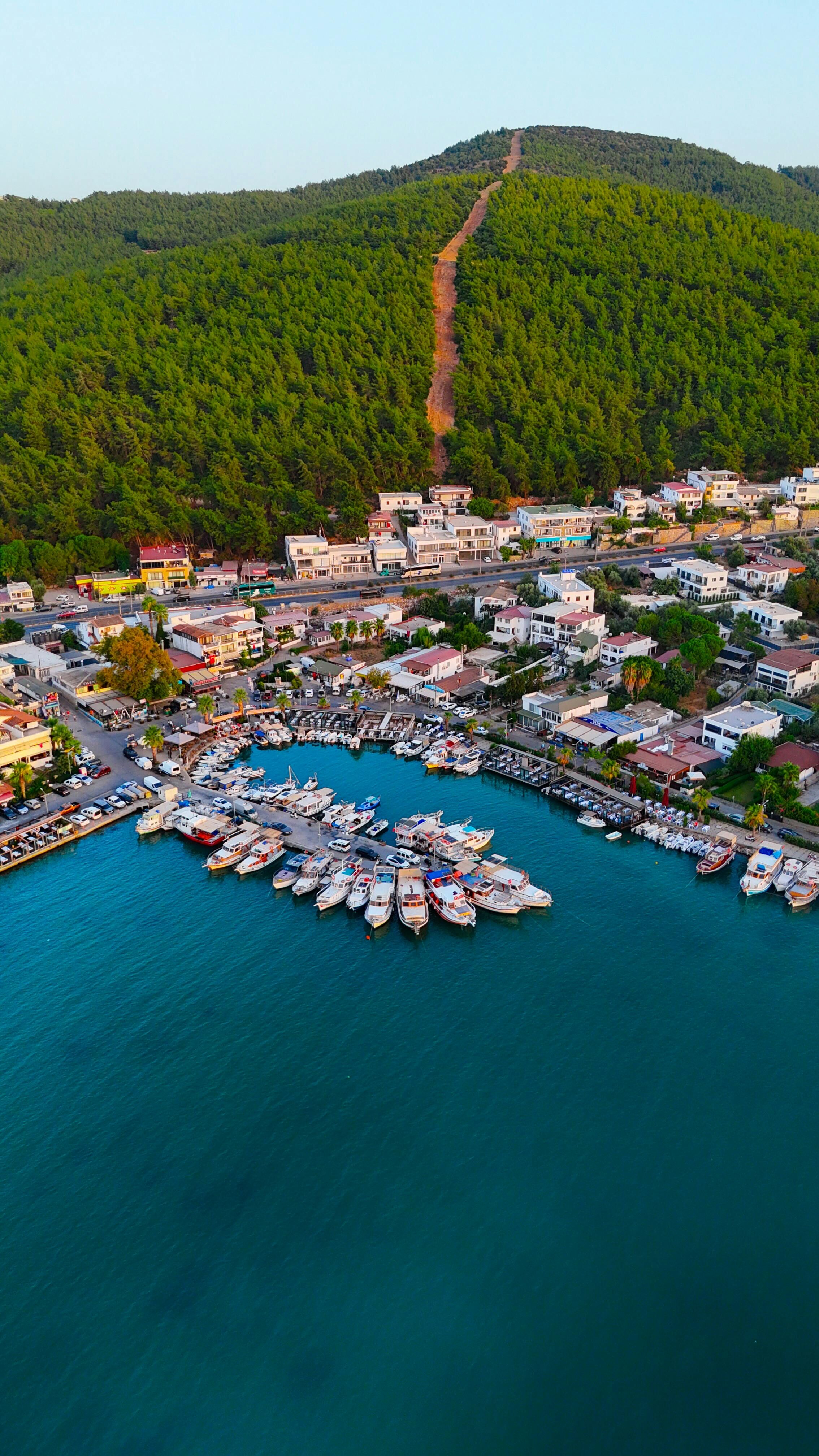 Pexels Muhammed Gunduz 383792461 33947515